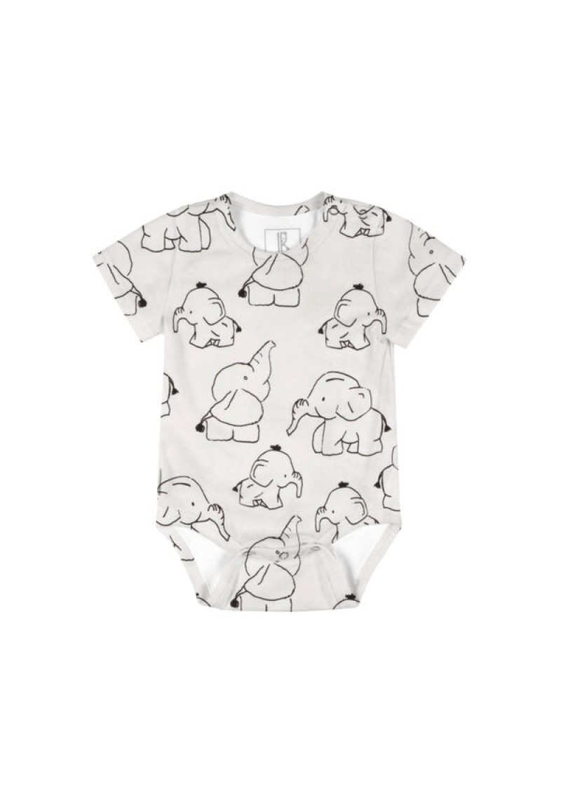 Lenne Balts bodijs ar ziloņiem