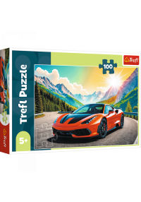 Puzle Sacīkstes, 100 gab.