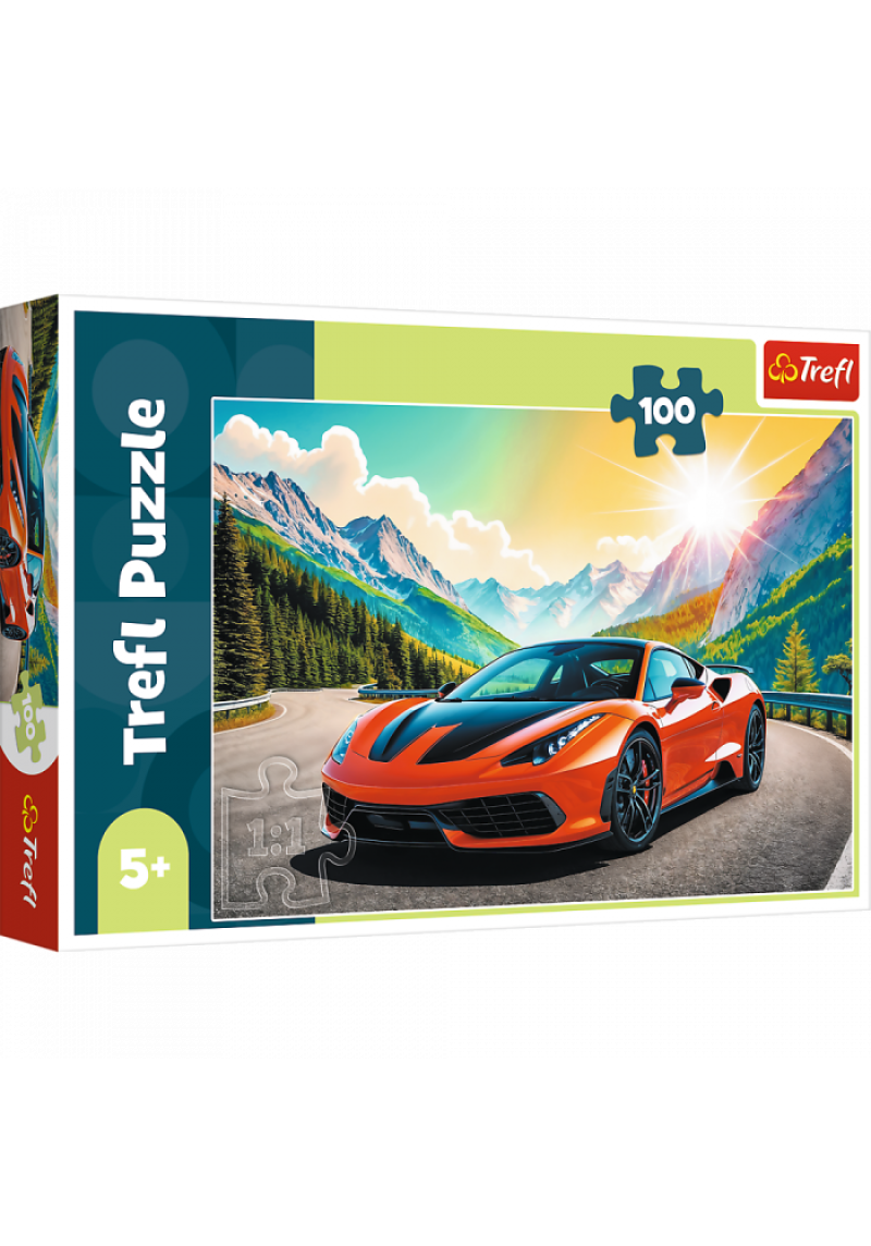 Puzle Sacīkstes, 100 gab.