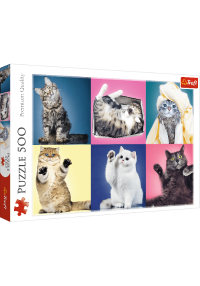 TREFL Puzle Kaķēni, 500 gab.