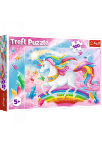 TREFL Puzle Vienradzis, 100 gab